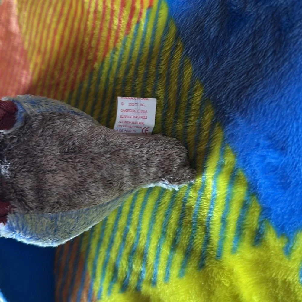 Ty 2000 Buzzy the Buzzard Beanie Baby